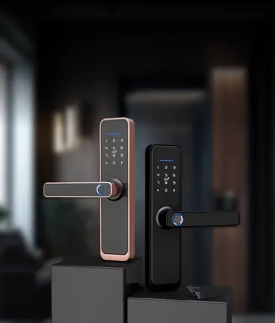 Modern smart door locks